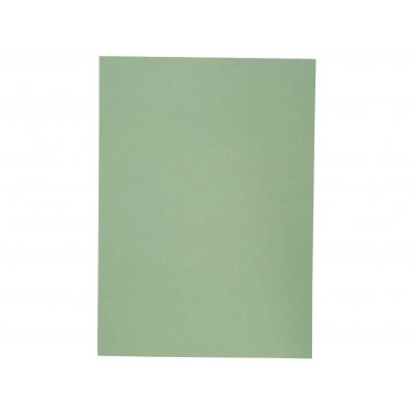 1 chemise simple, 250g, vert