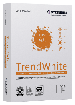Papier recyclé Steinbeis Trend White grande qté