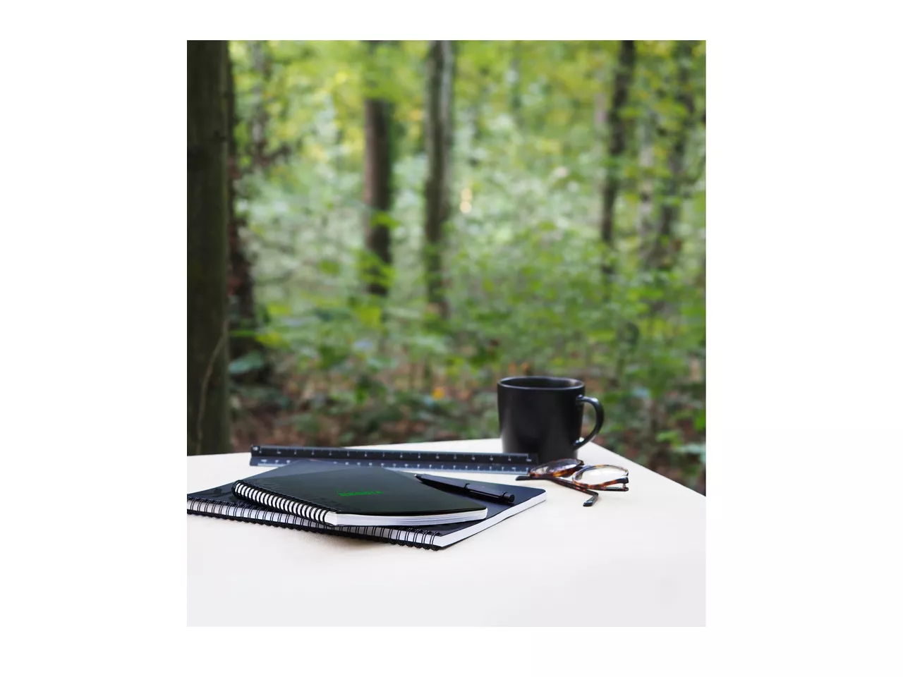 RHODIA Cahier &agrave; spirale GREENBOOK, GREENPAD recycl&eacute;, noir