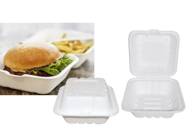 250 bo�tes � burger Nature Star en canne � sucre, L150 x l150 mm
