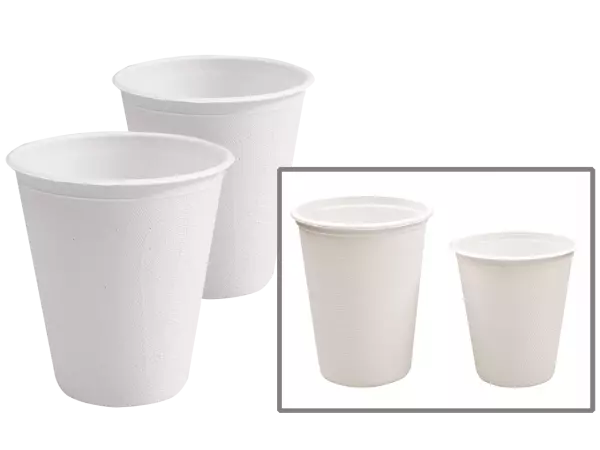 250 gobelets Nature Star en canne � sucre