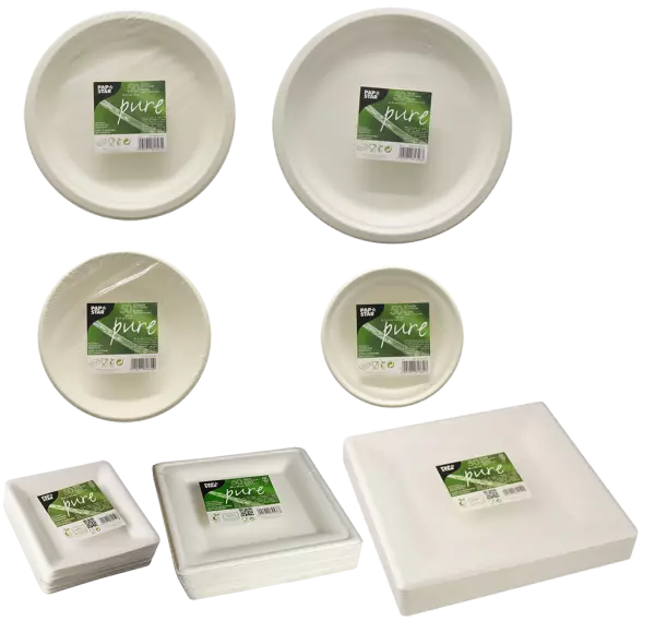 250 pi�ces bagasse canne � sucre