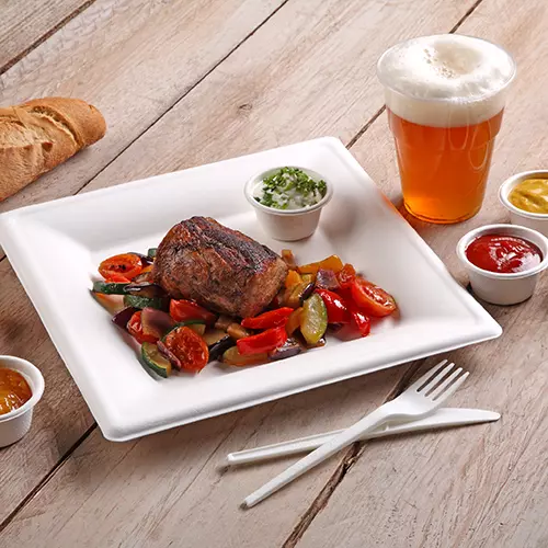 250 pi�ces bagasse canne � sucre