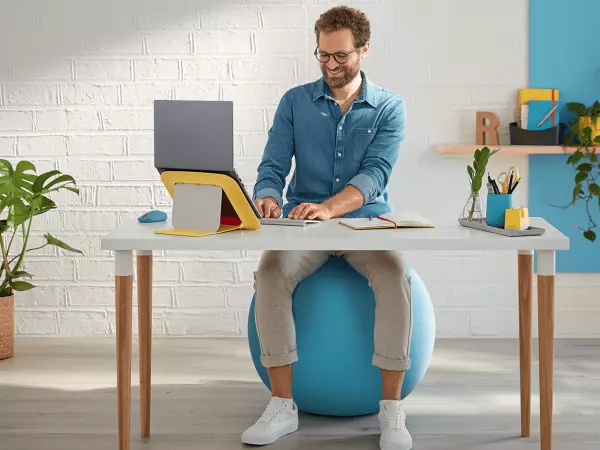 Ballon si�ge ergonomique Ergo Cosy �65 cm