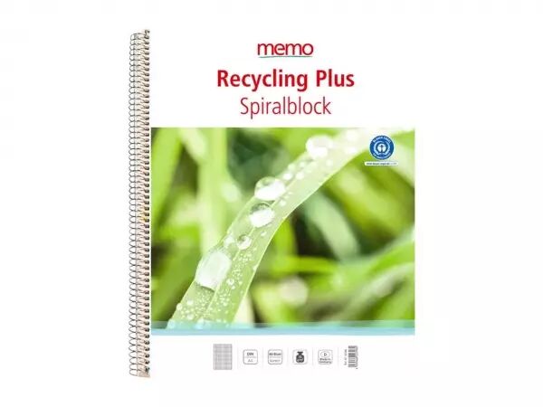 Cahier perfor� 4 trous A4 80g, 160 p, spirale, petits carreaux