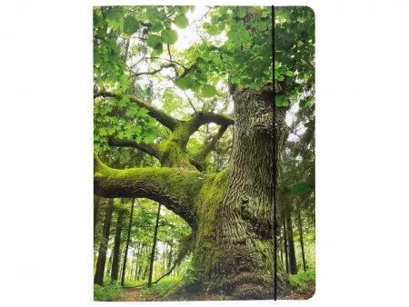 Chemise 3 rabats et élastique, A4 décorée