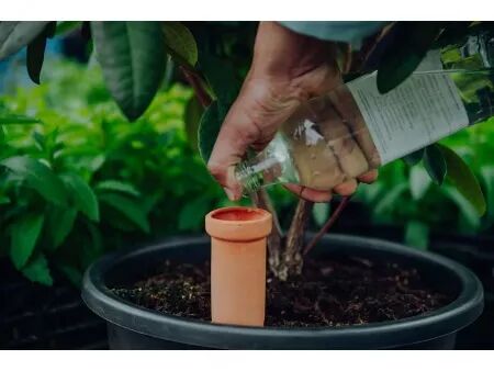 Cônes d\'arrosage en terre cuite