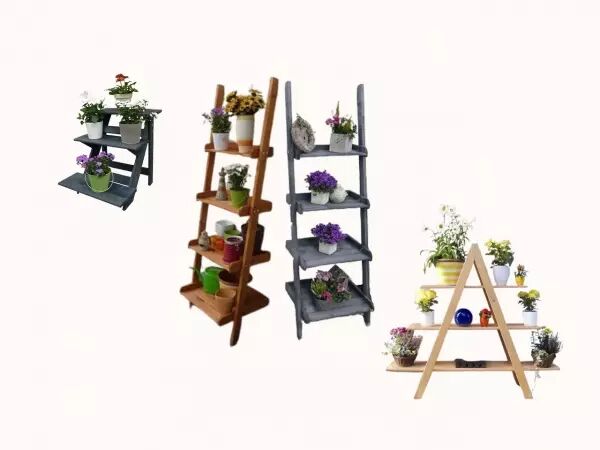 �tag�re � plantes