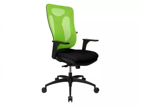 Fauteuil de bureau \ Net Pro 100\ 