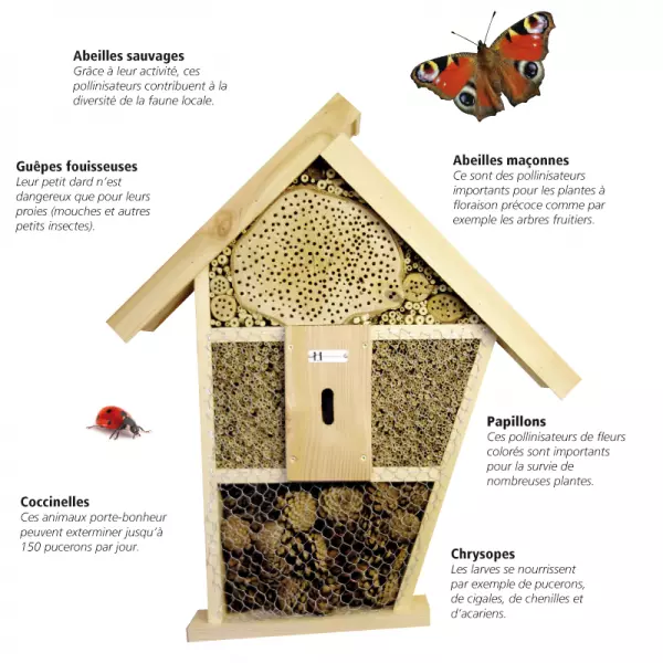 H�tel � insectes