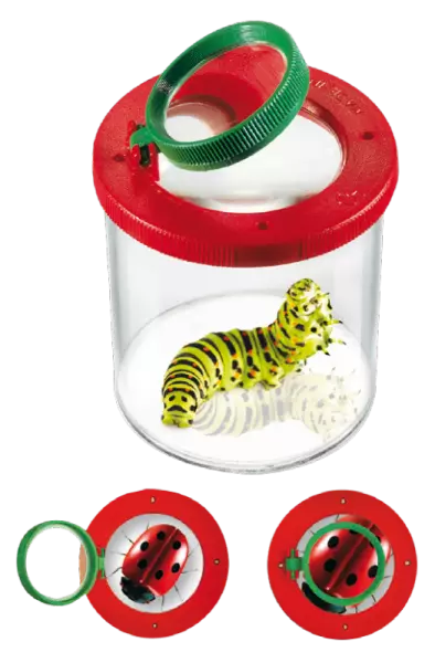 Loupe � insecte