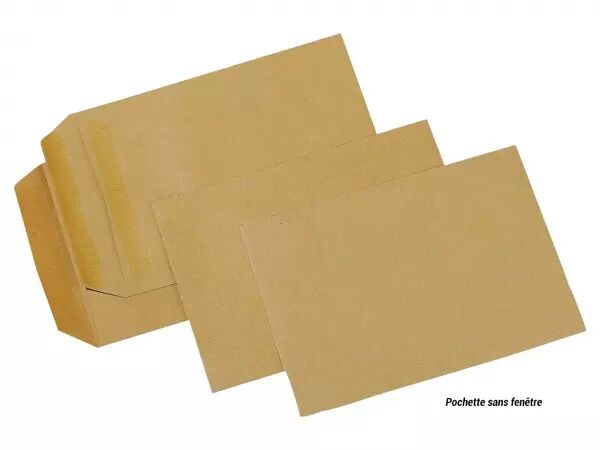 Pochette kraft recycl�