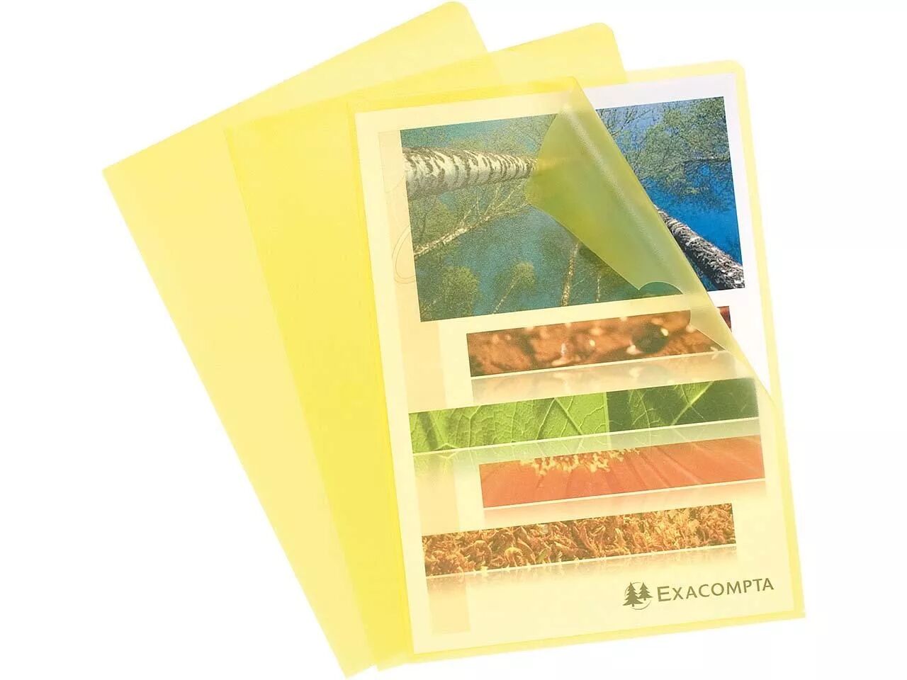 Pochettes coins Exacompta 120&micro;