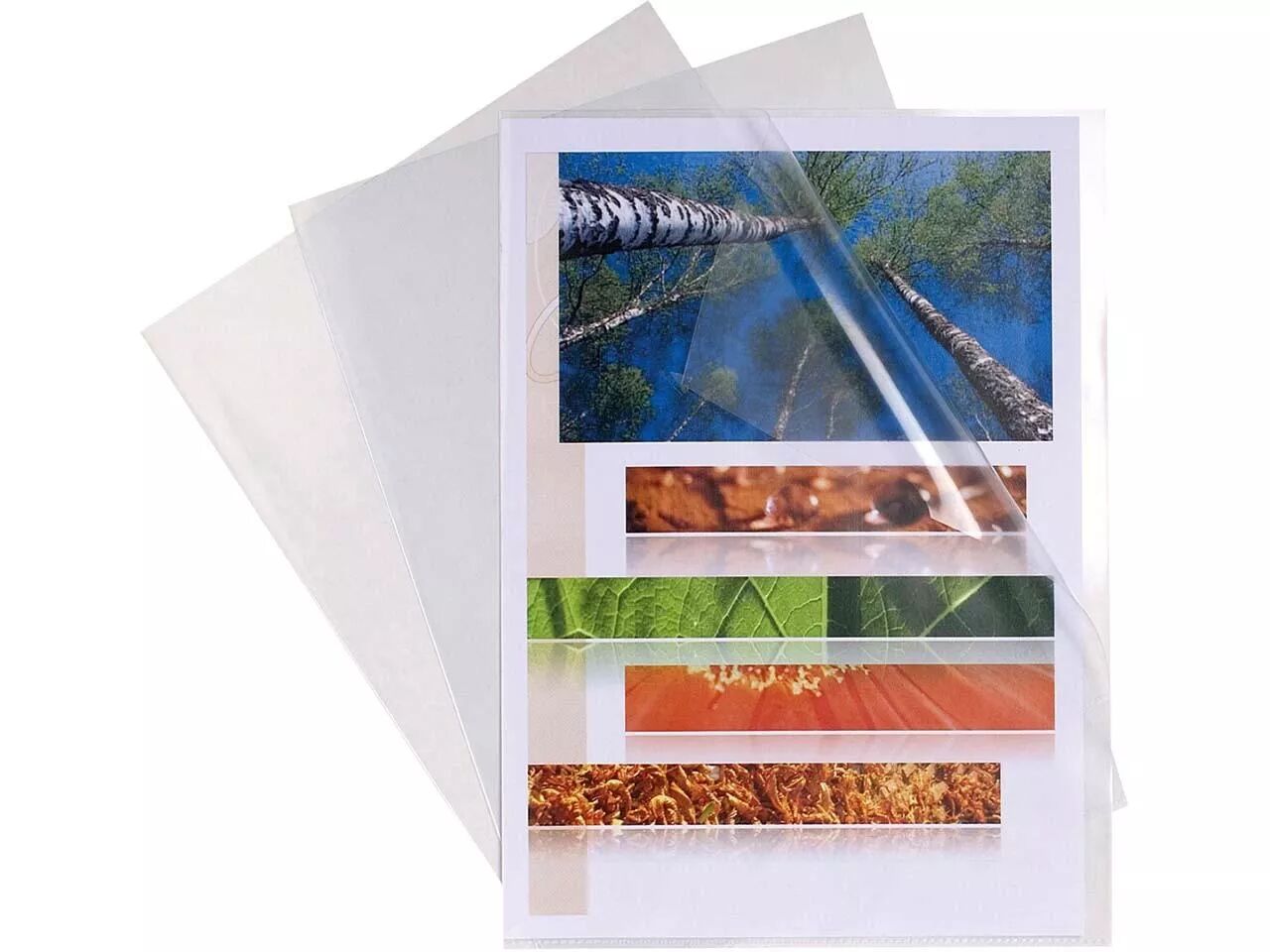 Pochettes coins Exacompta 200&micro;