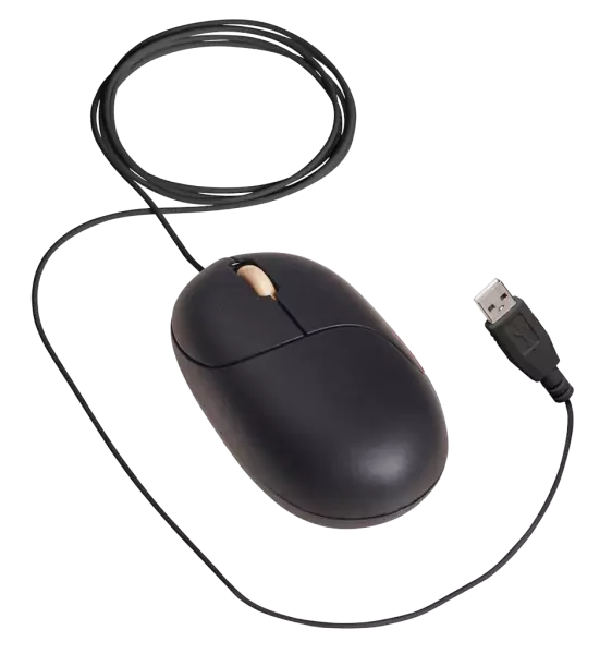 Souris optique filaire La Souris �quitable c�ble 1m70 noire