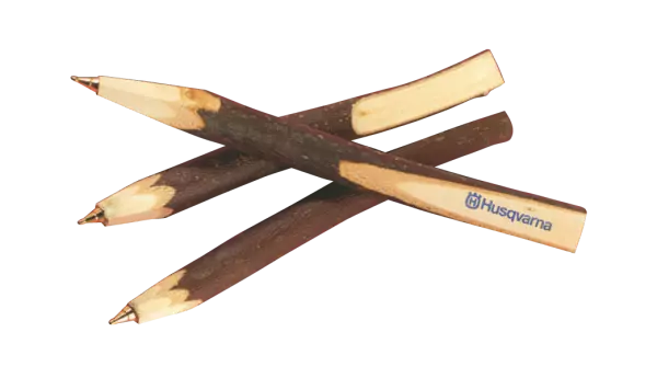 Stylo-bille rameau de bois