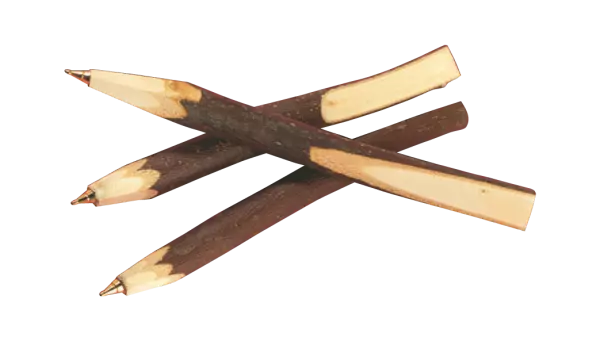 Stylo-bille rameau de bois