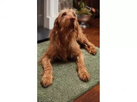 Tapis de sol « Original 2.0 »