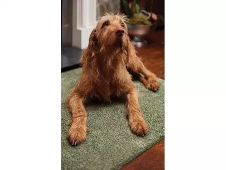 Tapis de sol « Original 2.0 »