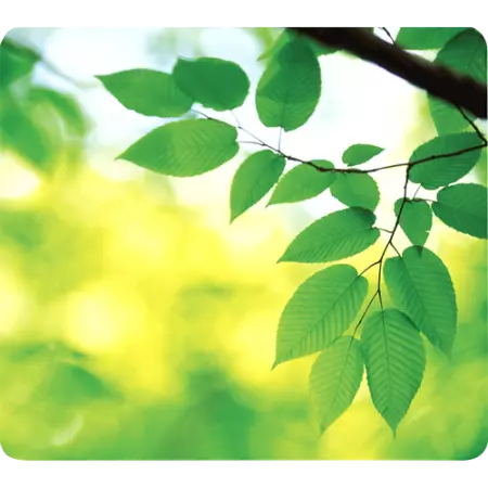 Tapis souris EARTH, recyclé à 85%